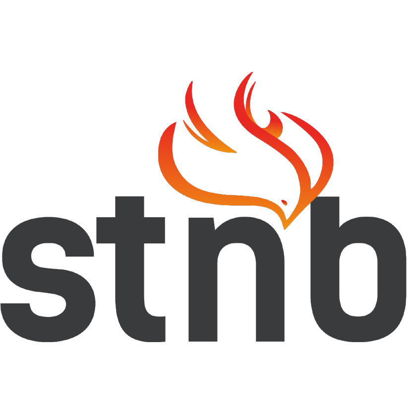 Logo stnb